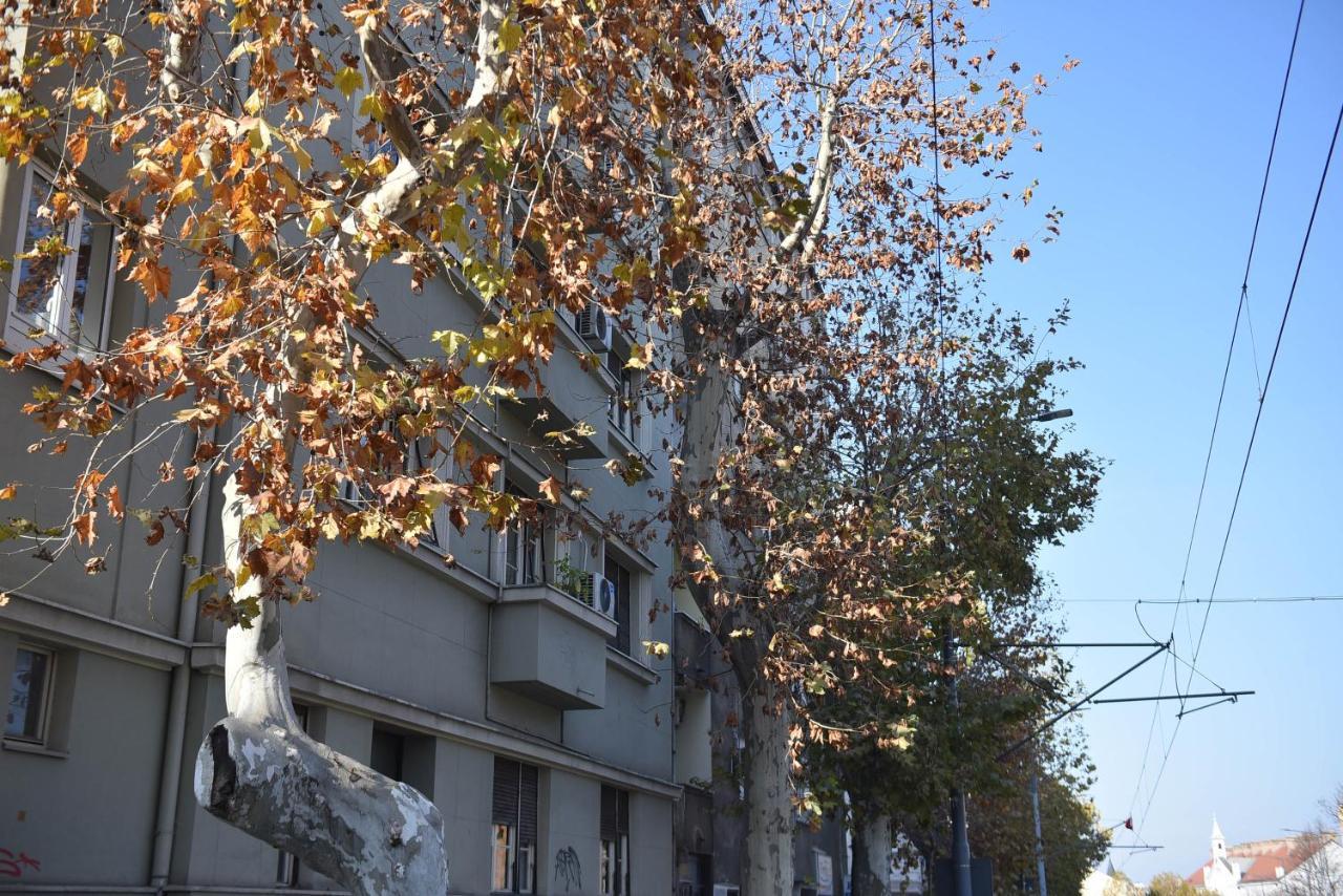 Friendly Home Apartment Beograd Eksteriør billede